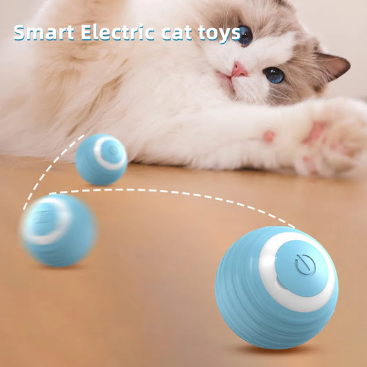 Automatisch rollende katten bal